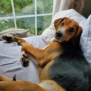 Meet your Posher, Deborah